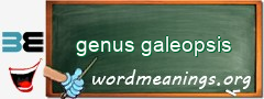 WordMeaning blackboard for genus galeopsis